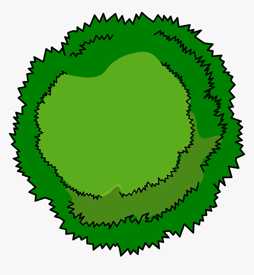 Bushes Clipart Tree Top - Tree Birds Eye View Clipart, HD Png Download, Free Download