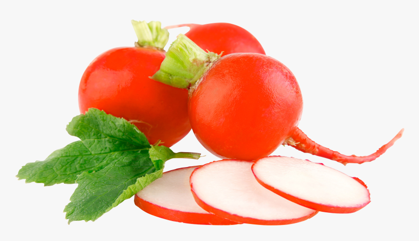 Radish Png - Vegetables Images With White Background, Transparent Png, Free Download