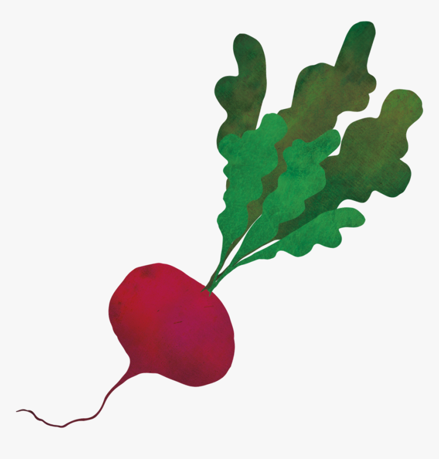 Save To Collection - Radish, HD Png Download, Free Download