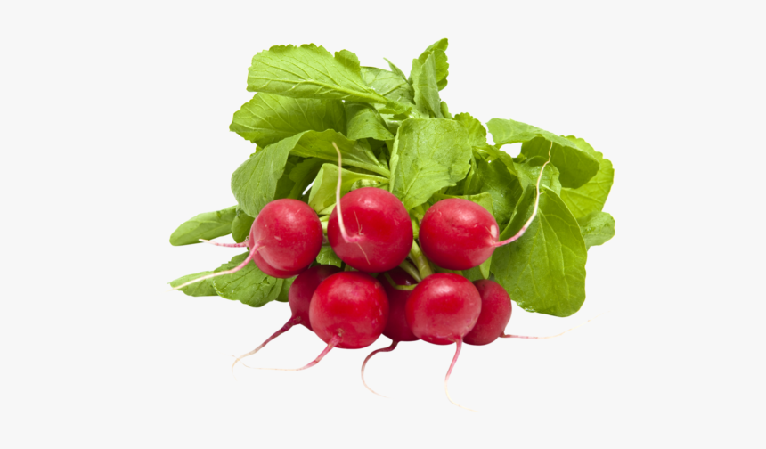 Radish, HD Png Download, Free Download