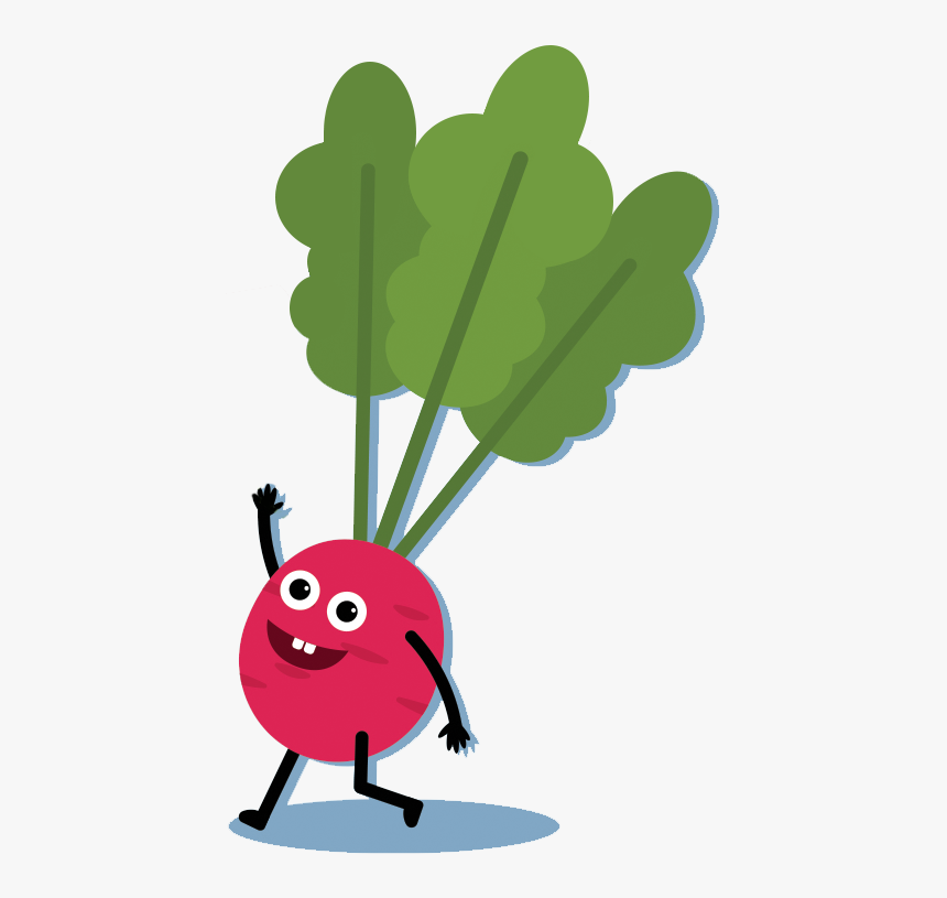 Radish, HD Png Download, Free Download