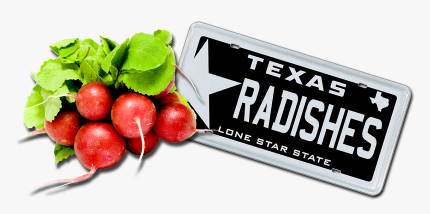 Black Texas License Plates, HD Png Download, Free Download
