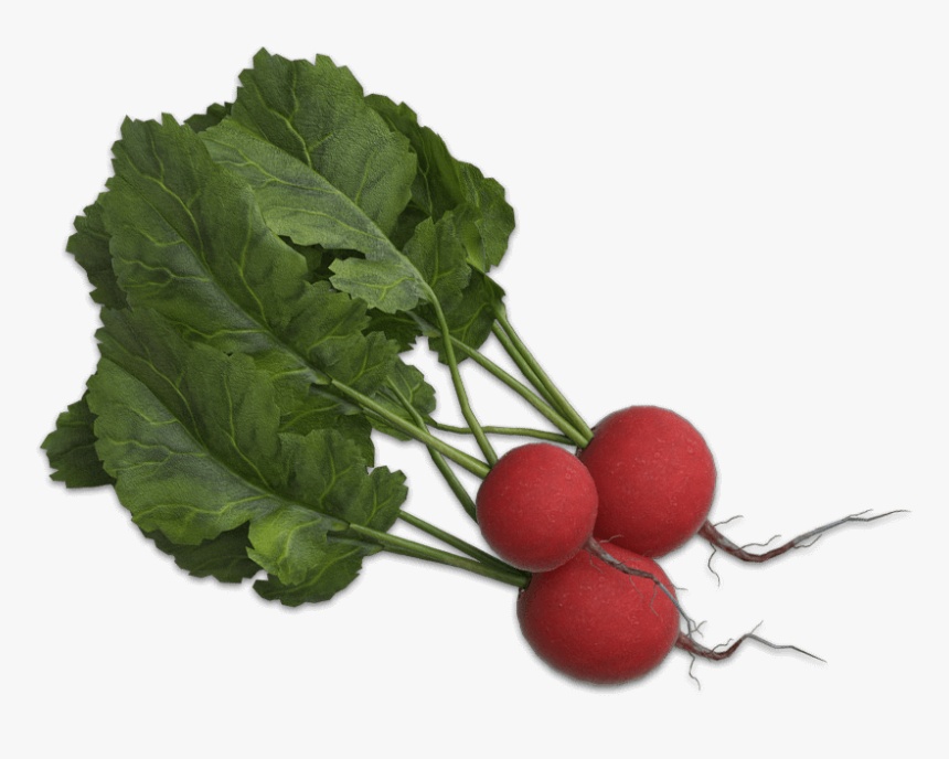 Beet Greens, HD Png Download, Free Download