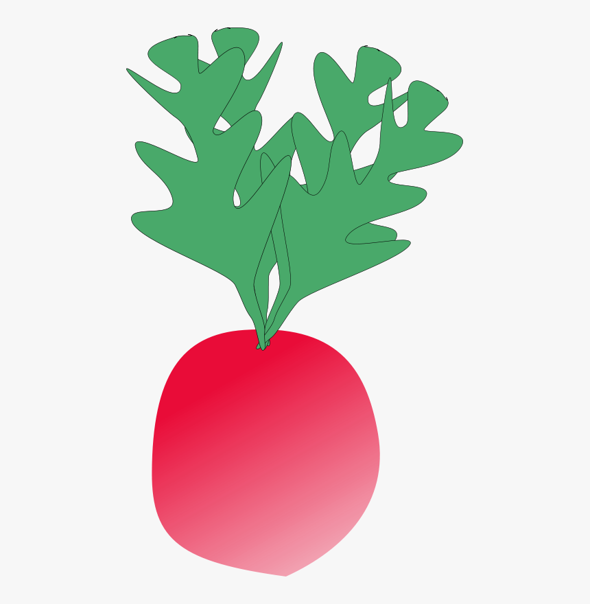 Radish - Radish Clip Art, HD Png Download, Free Download