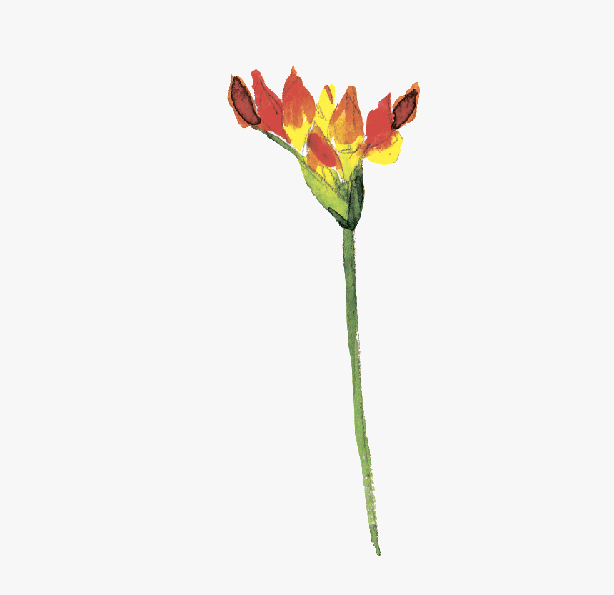 Red Spark Png - Artificial Flower, Transparent Png, Free Download