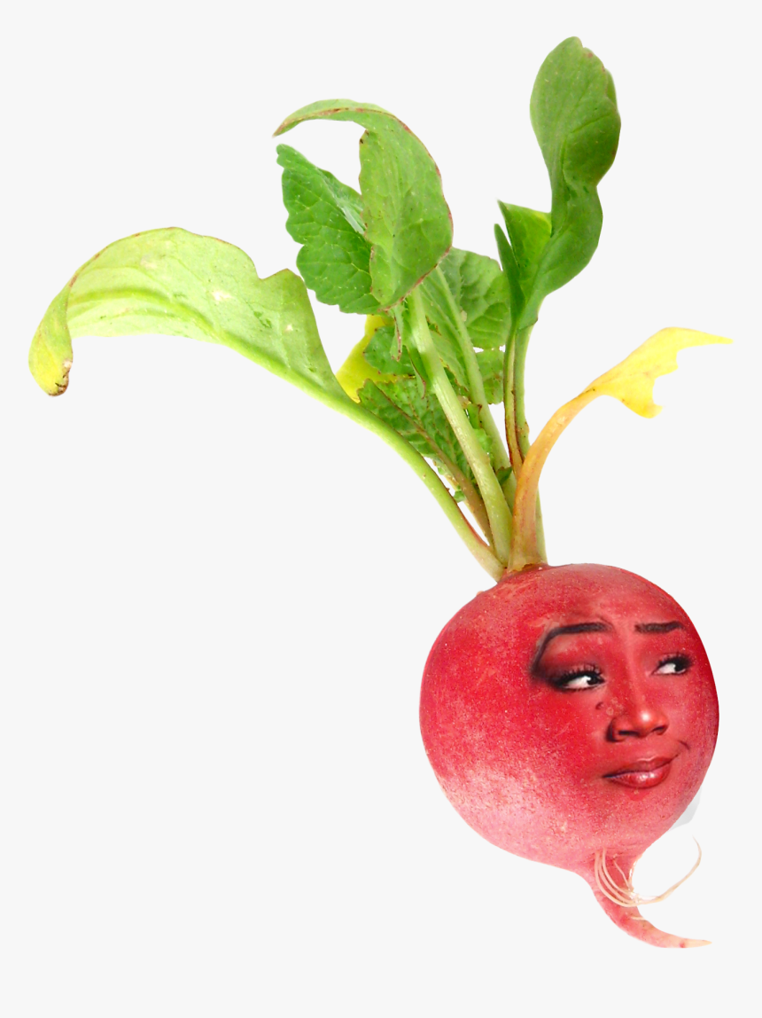 Transparent Radish Png - Radish Funny, Png Download, Free Download