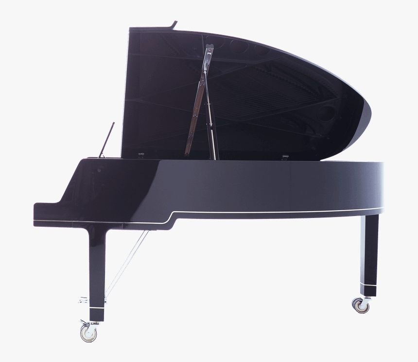 Grand Piano Carl Sauter Pianofortemanufaktur Upright - Grand Piano Profile, HD Png Download, Free Download