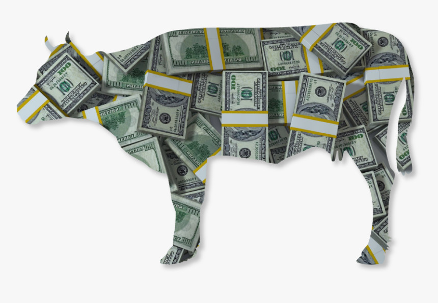 Event Cash Cow - Cash, HD Png Download, Free Download