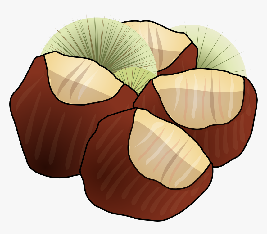 Clipart Chestnut, HD Png Download, Free Download