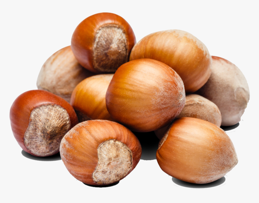 Hazelnuts Transparent Png, Png Download, Free Download