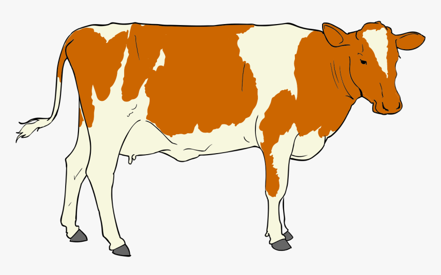 Cow Clipart - Clip Art Of Cow, HD Png Download, Free Download
