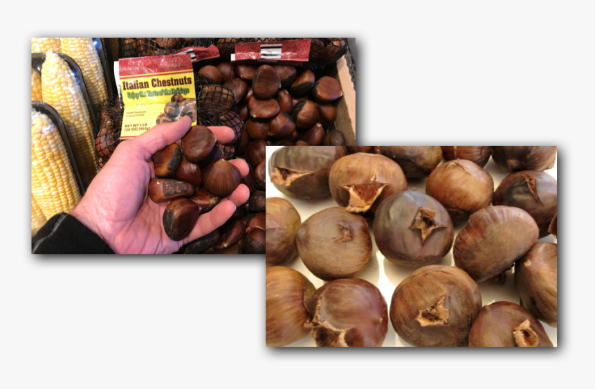 Chestnut, HD Png Download, Free Download