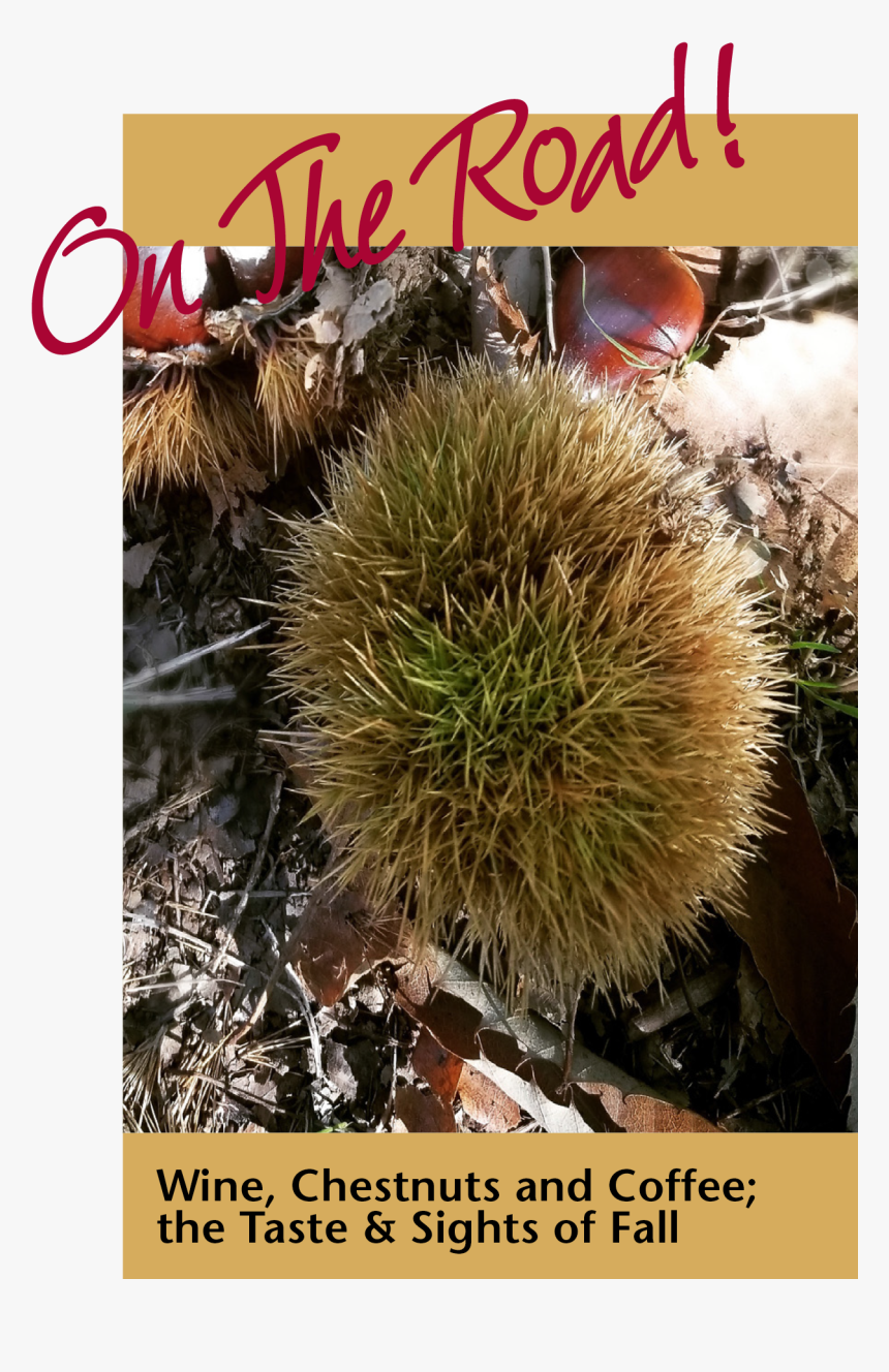 Chestnut On Tree - Poster, HD Png Download, Free Download
