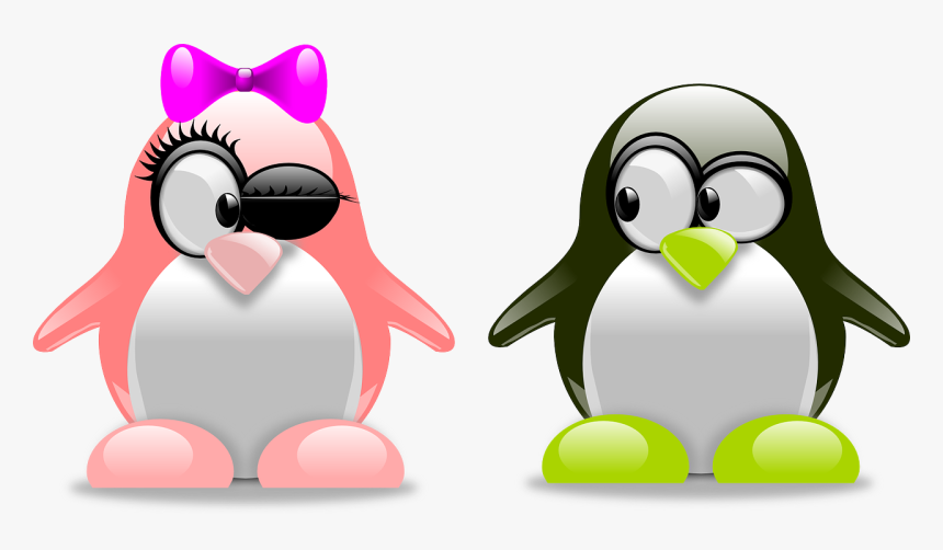 Valentines Day Couple Png High-quality Image - Tux Penguins, Transparent Png, Free Download