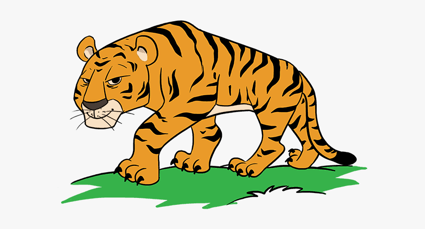 How To Draw Cartoon Tiger - Tiger Cartoon Drawing Easy, HD Png Download -  kindpng