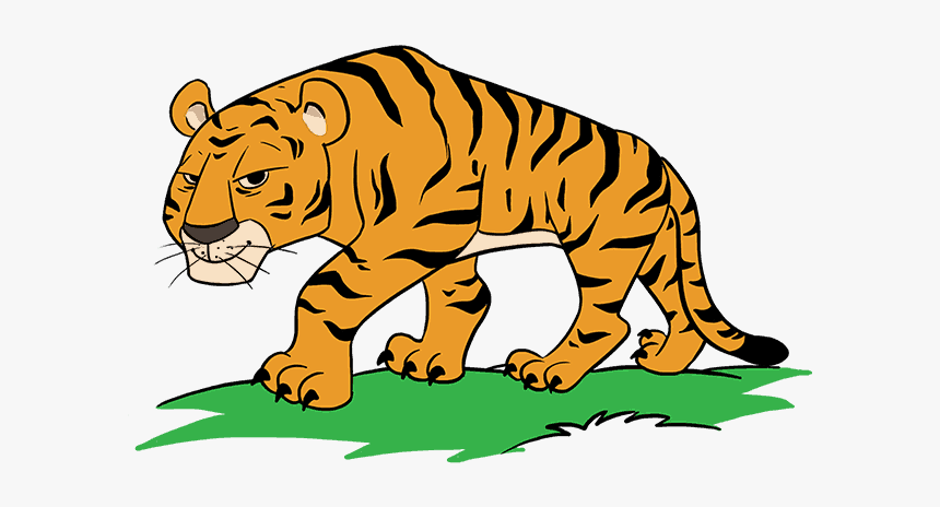 How To Draw Cartoon Tiger - Tiger Cartoon Drawing Easy, HD Png Download, Free Download