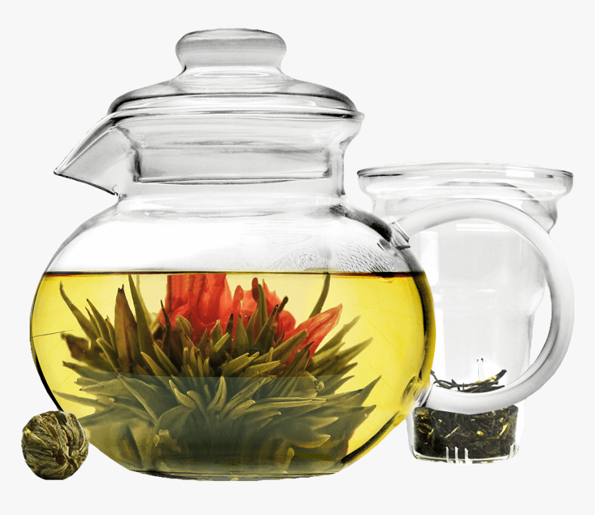 Blossom Teapot, Infuser And Tea Flowers - Primula Tea, HD Png Download, Free Download