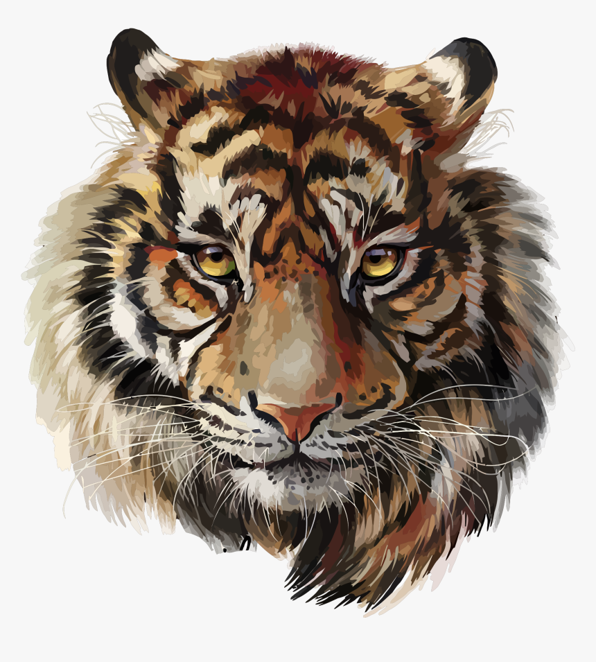 🐅#tiger #stripes #cartoon #tigerface - Tiger Watercolor, HD Png Download, Free Download