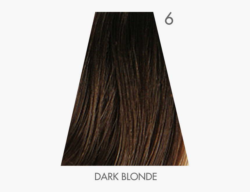 Plywood, HD Png Download, Free Download