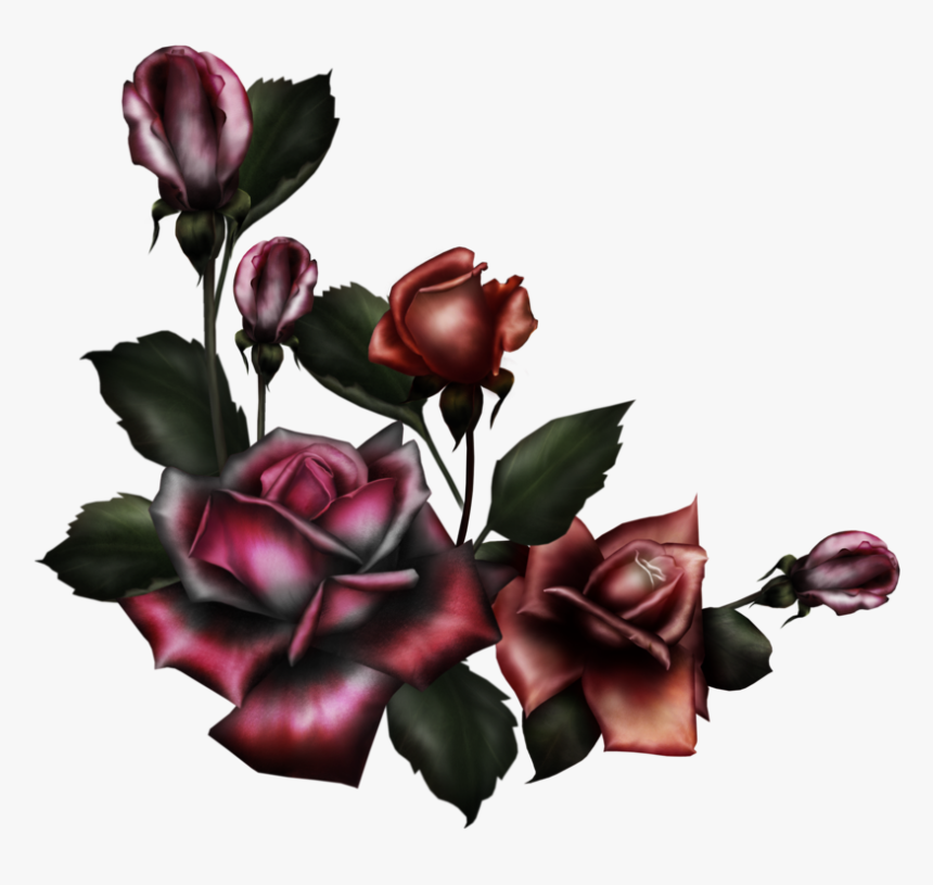 Gothic Flower Border Design - Gothic Roses Png, Transparent Png, Free Download
