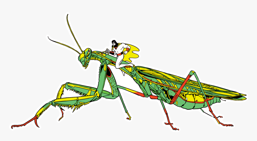 Zorak Tstout - Mantidae, HD Png Download, Free Download