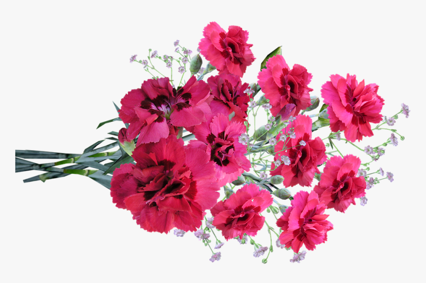 Flowers, Pink, Carnations, Fragrant, Perfume - Bouquet, HD Png Download, Free Download
