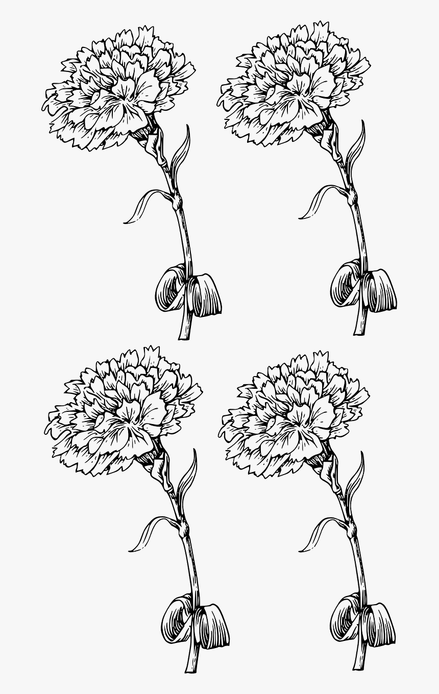 Carnation Tattoo Designs, HD Png Download, Free Download