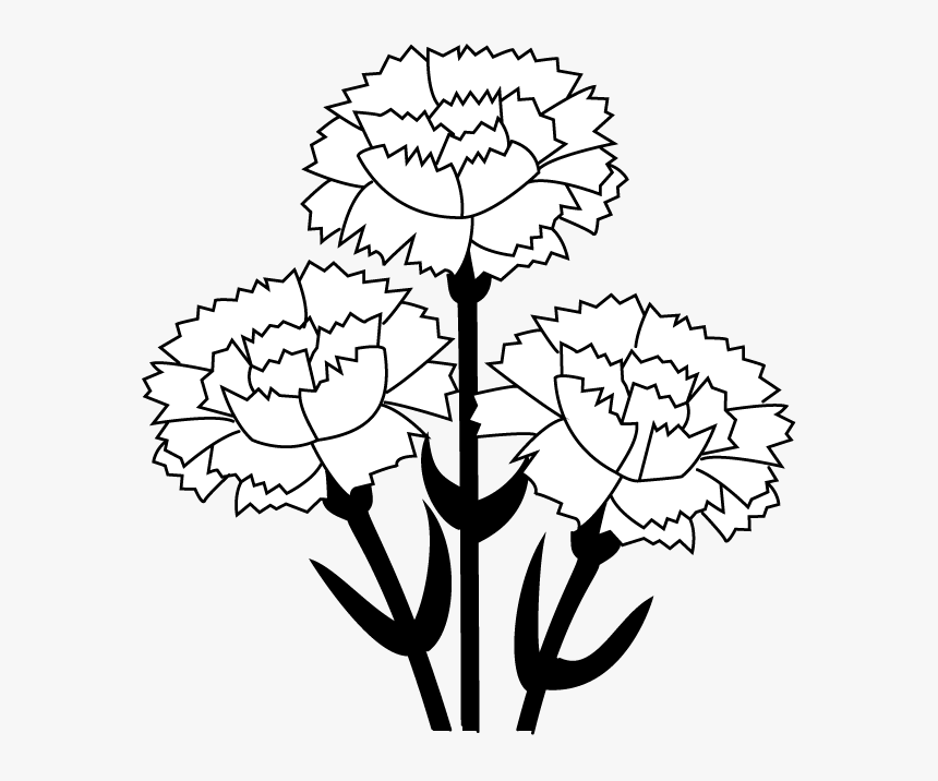 Carnation Clip Art - White Carnation Clip Art, HD Png Download, Free Download