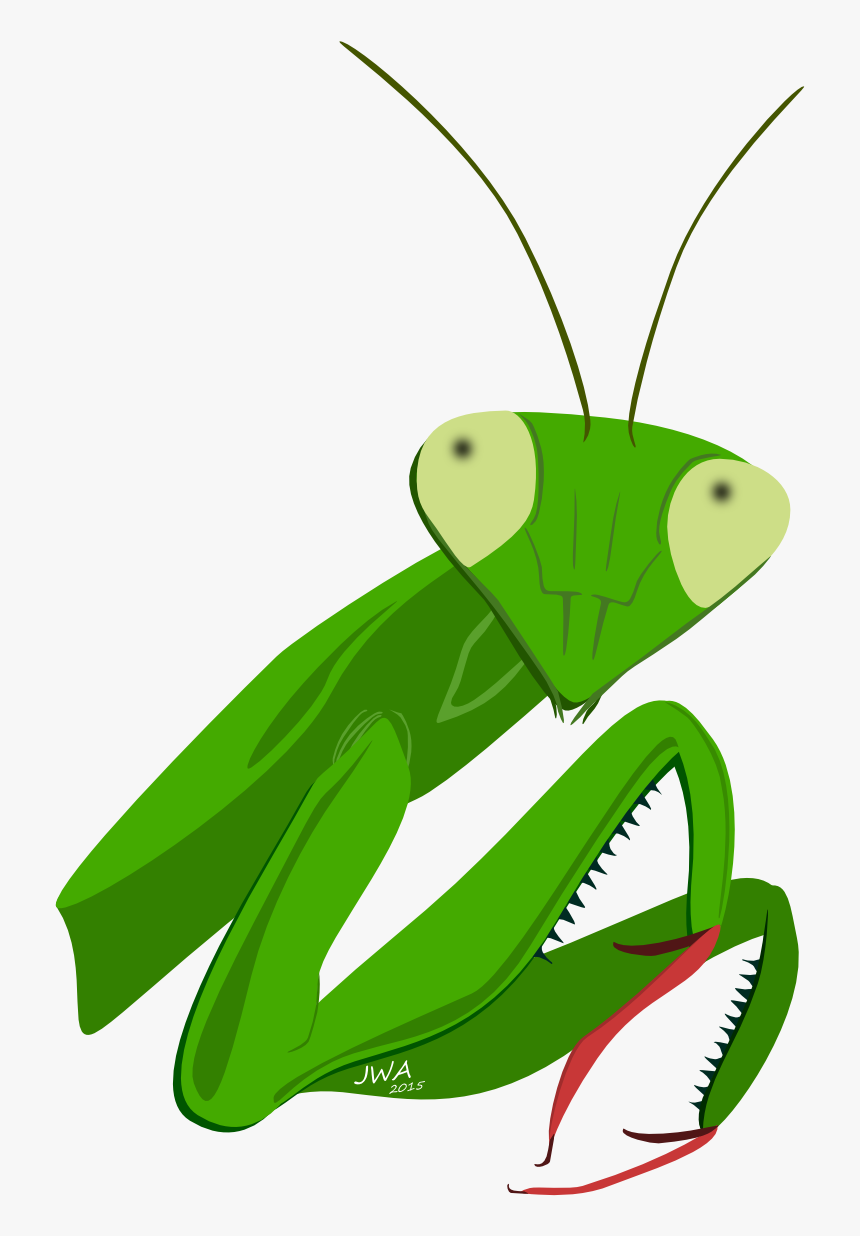 Clip Art Insect Animal Honey Theme - Cartoon, HD Png Download, Free Download