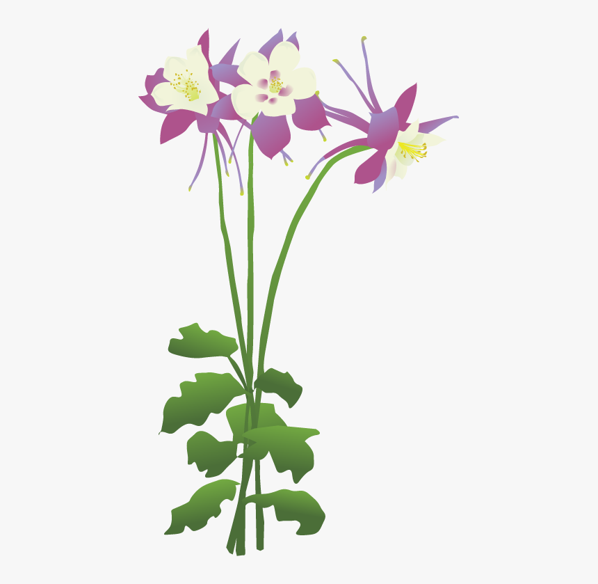 Columbine Flower Clipart Png, Transparent Png, Free Download