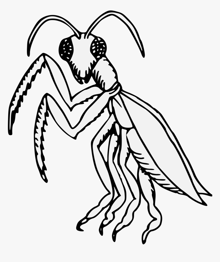 Transparent Praying Mantis Clipart - Heraldic Praying Mantis, HD Png Download, Free Download