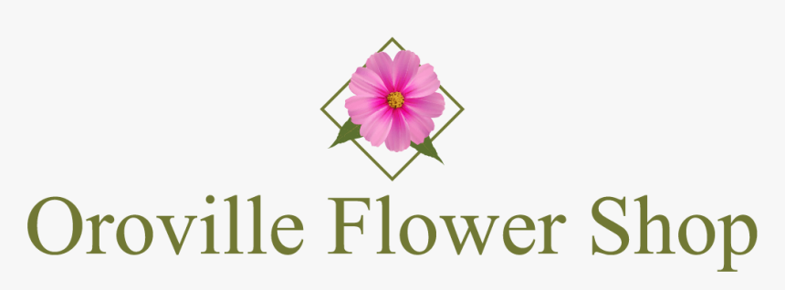 Oroville Flower Shop - Swamp Rose Mallow, HD Png Download, Free Download