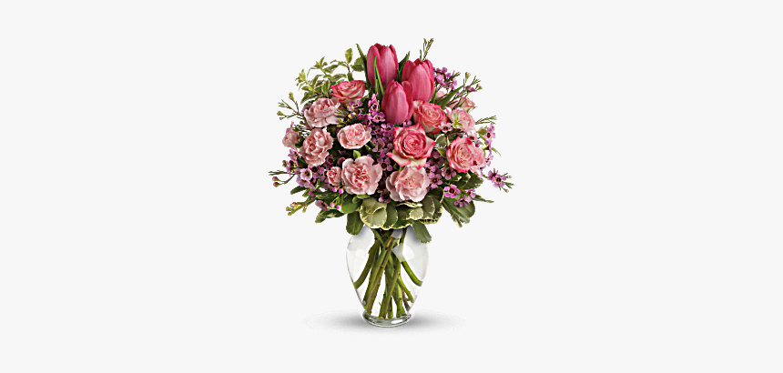 Carnations Png, Transparent Png, Free Download