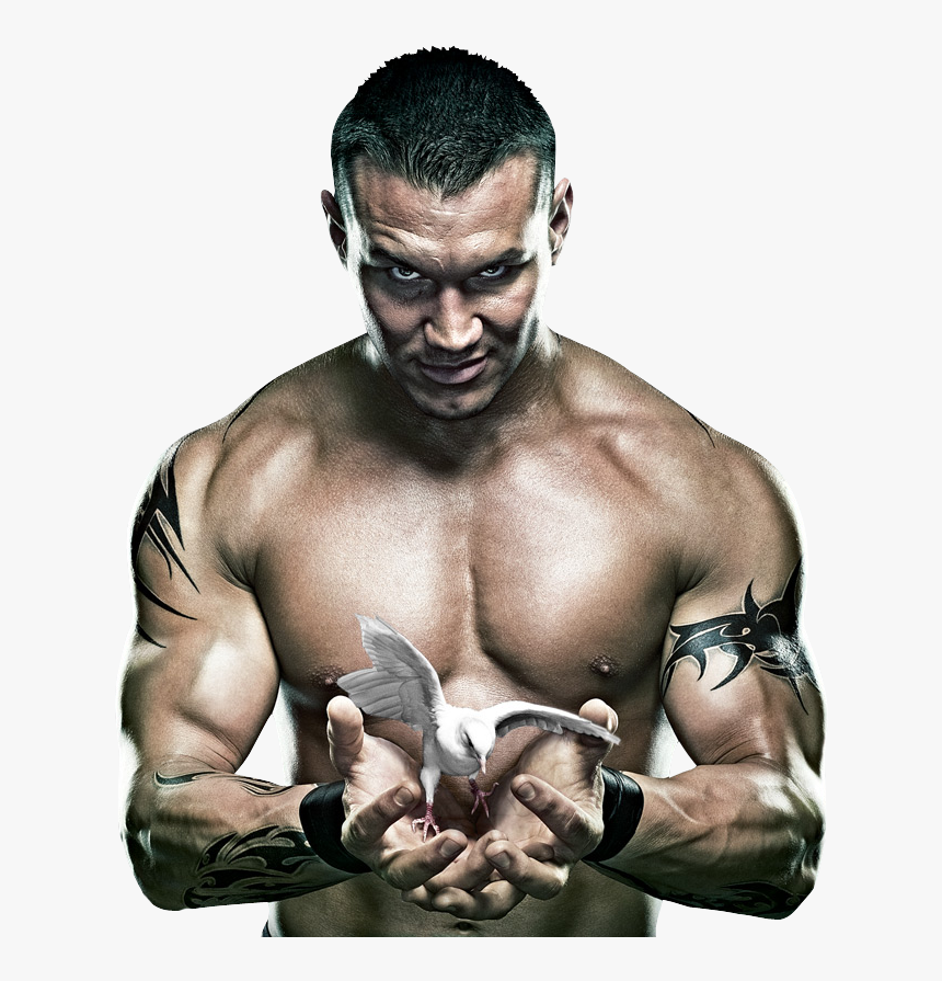 Randy Orton Rko Png - Randy Orton No Mercy, Transparent Png, Free Download