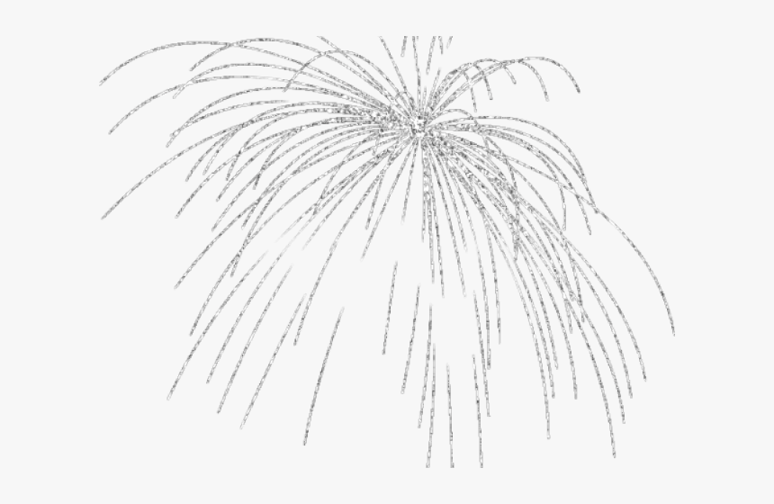 Transparent Fireworks Clipart Black And White - Sketch, HD Png Download, Free Download