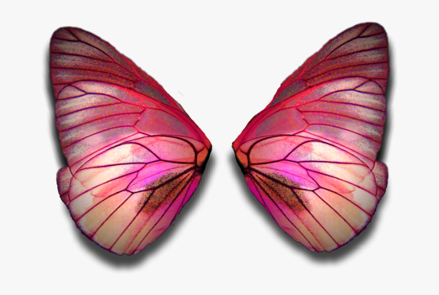 Fairy Wings Butterflywings Fairywings Faerywings Butterfly - Fairy Wings Red Png, Transparent Png, Free Download