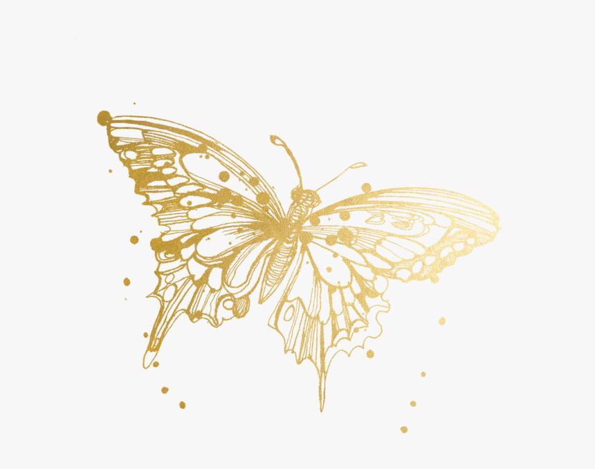 Watercolor Butterflies Png - Monarch Butterfly Tattoo Drawing, Transparent Png, Free Download
