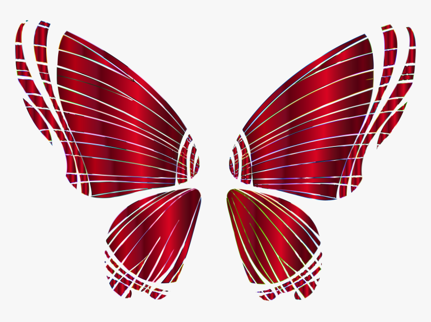 Butterfly,symmetry,moth - Butterfly Wings Transparent Background, HD Png Download, Free Download