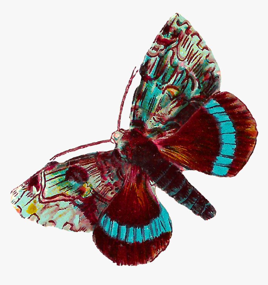 Digital Butterfly Moth Clip Art Downloads - Printable Death Moth, HD Png Download, Free Download