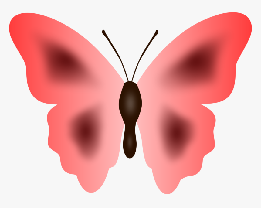 Butterfly Moth Cartoon Pink - Lycaenid, HD Png Download, Free Download