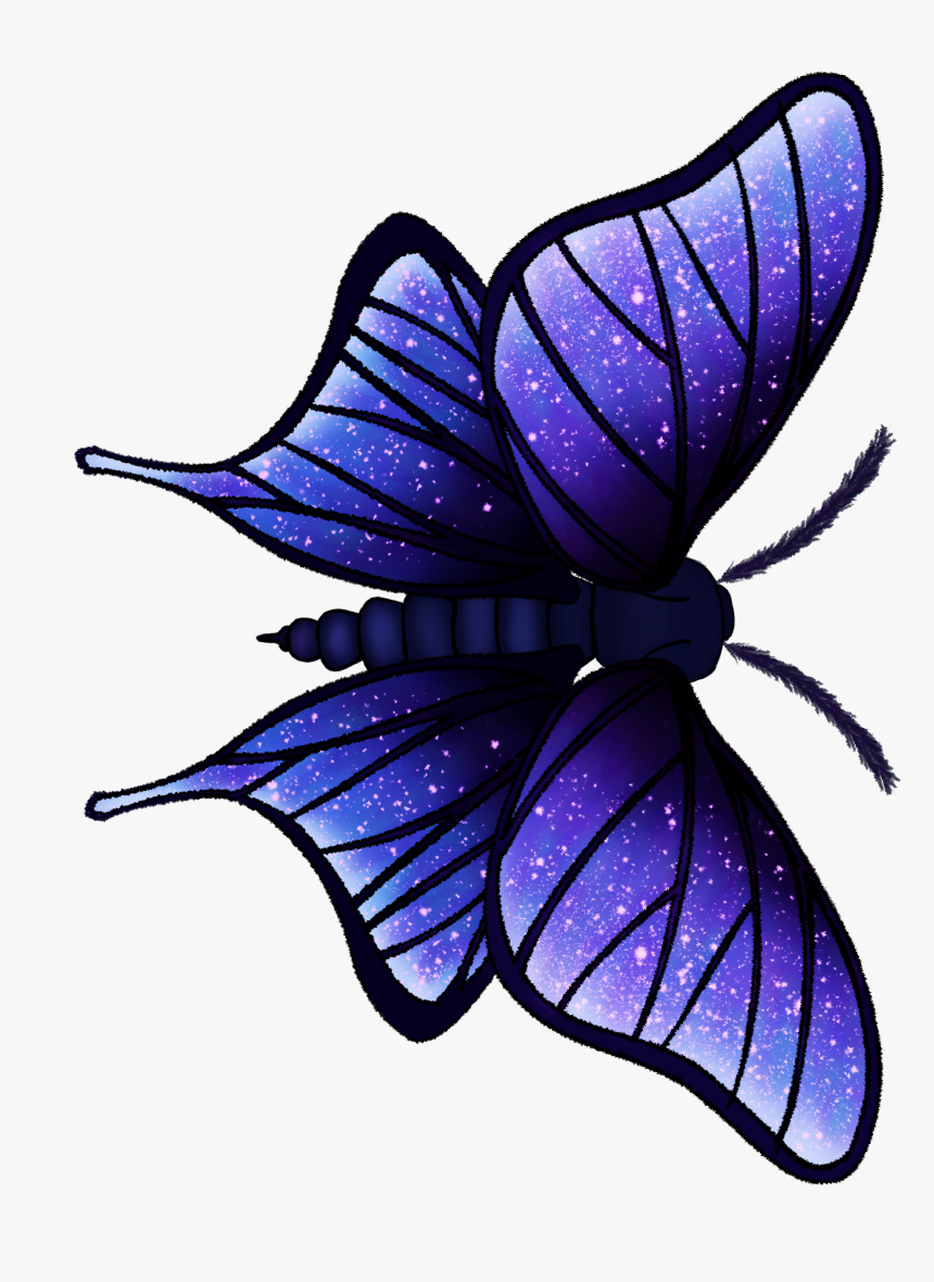 Moth-bright - Papilio, HD Png Download, Free Download