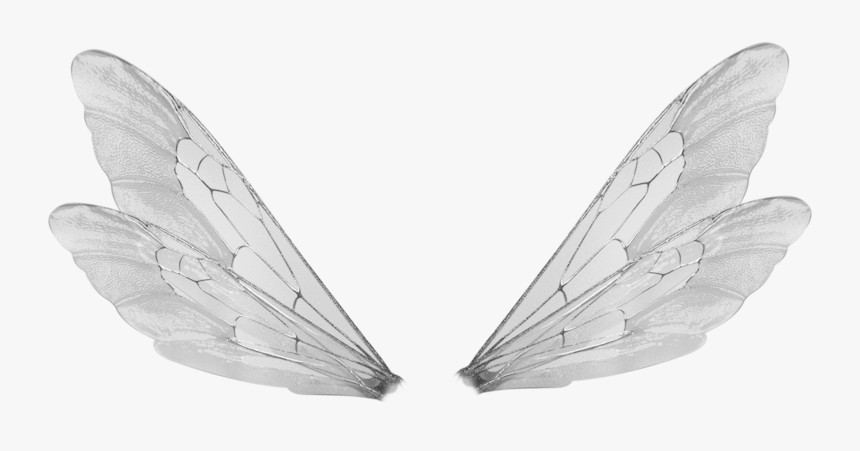 Fairy Wings Transparent, HD Png Download, Free Download