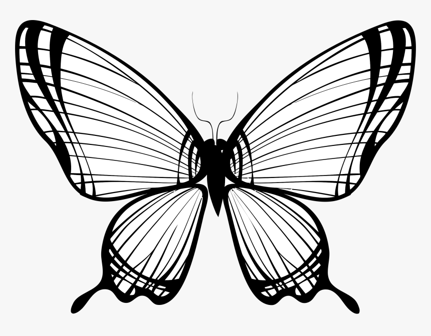 Clip Art Butterfly With Broken Wing - Butterfly Wings Line ...