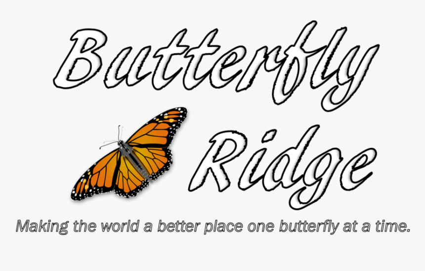 Butterfly Text Png, Transparent Png, Free Download