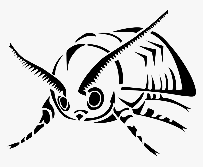 Drawn Moth Long Wing - มอด การ์ตูน, HD Png Download, Free Download