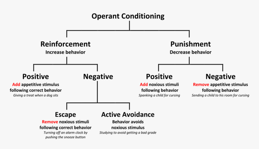 Operant Conditioning, HD Png Download, Free Download