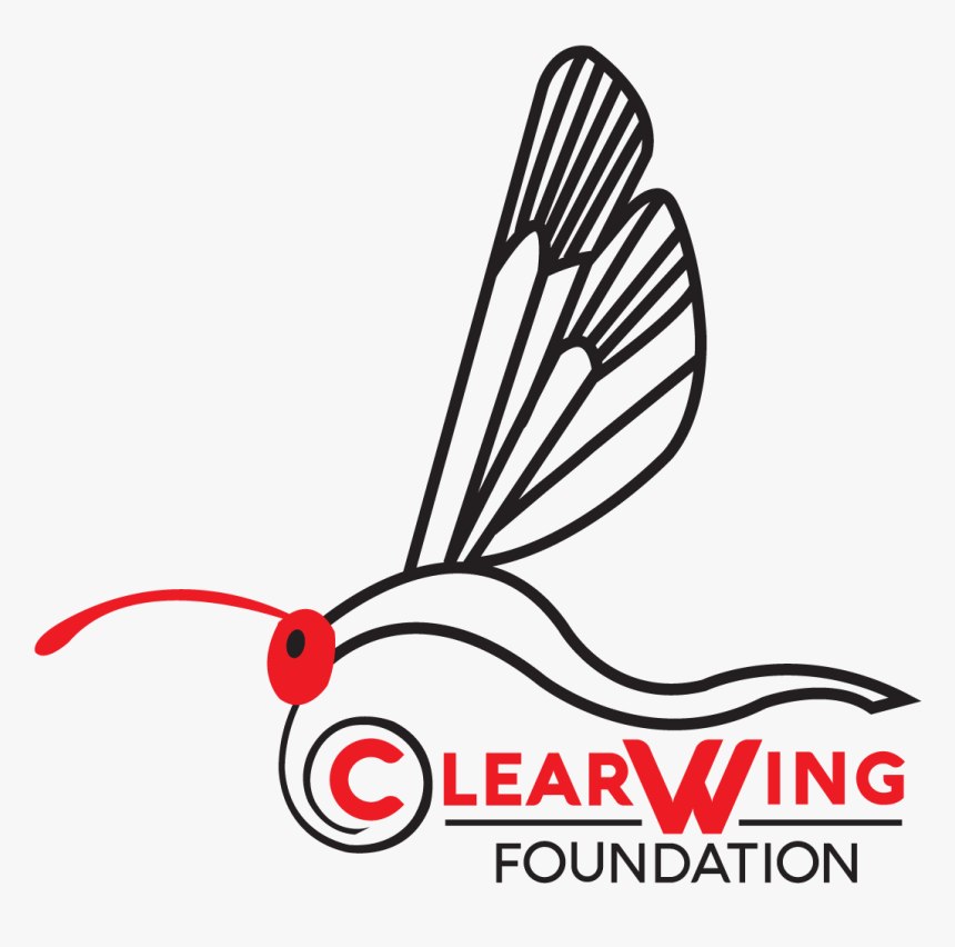 Clearwing Foundation - Line Art, HD Png Download, Free Download