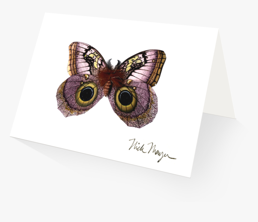 Owl Butterfly - American Painted Lady, HD Png Download, Free Download