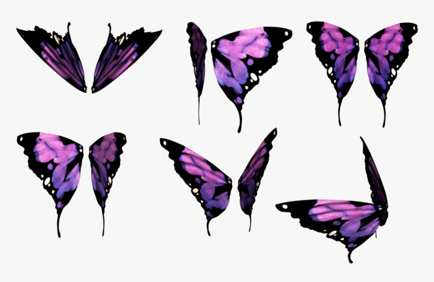 Butterfly Wings Png, Transparent Png, Free Download
