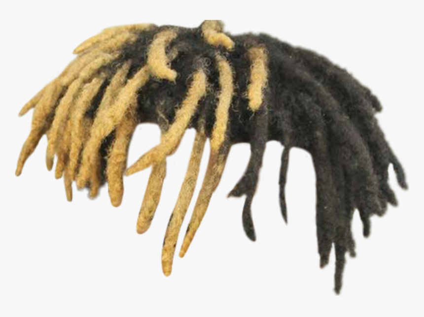 Xxxtentacion"s Dreadlocks - Xxx Rapper, HD Png Download, Free Download